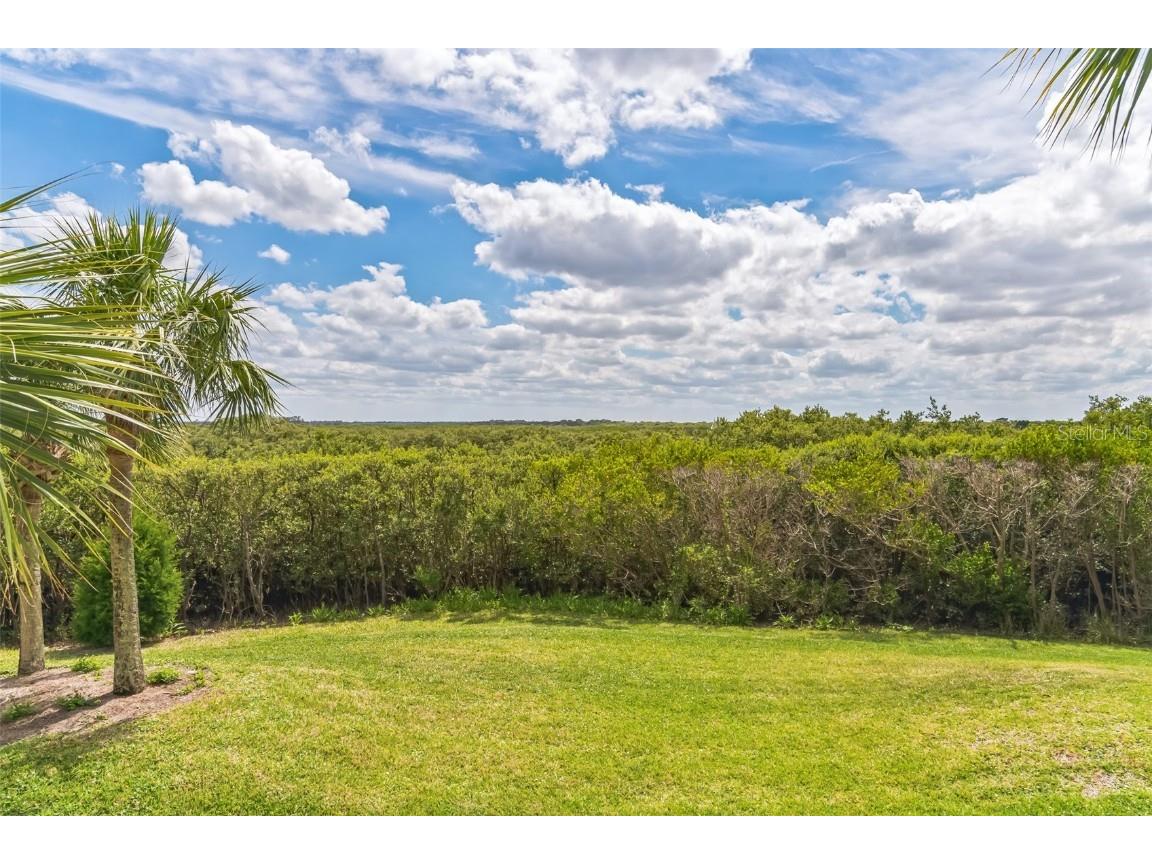 4672 Riverwalk Village Court #8203 Ponce Inlet FL 32127 NS1085684 image40