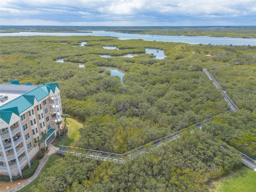 4672 Riverwalk Village Court #8402 Ponce Inlet FL 32127 NS1086132 image40