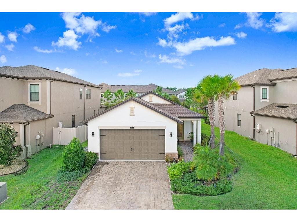 4675 San Martino Drive Wesley Chapel FL 33543 TB8309746 image1