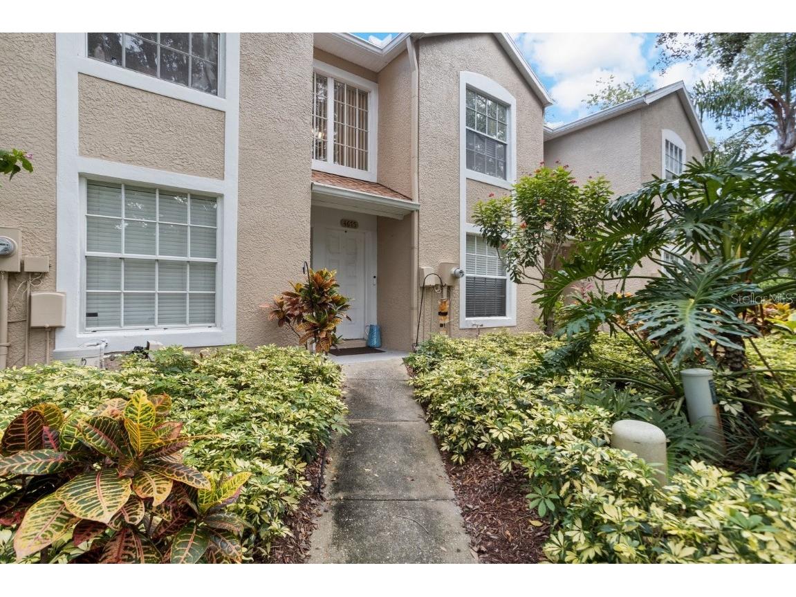 4675 Tudor Lane Palm Harbor FL 34683 U8220142 image1