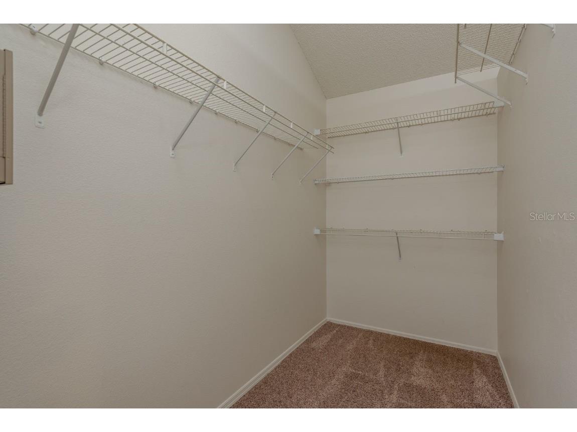 4675 Tudor Lane Palm Harbor FL 34683 TB8432247 image15