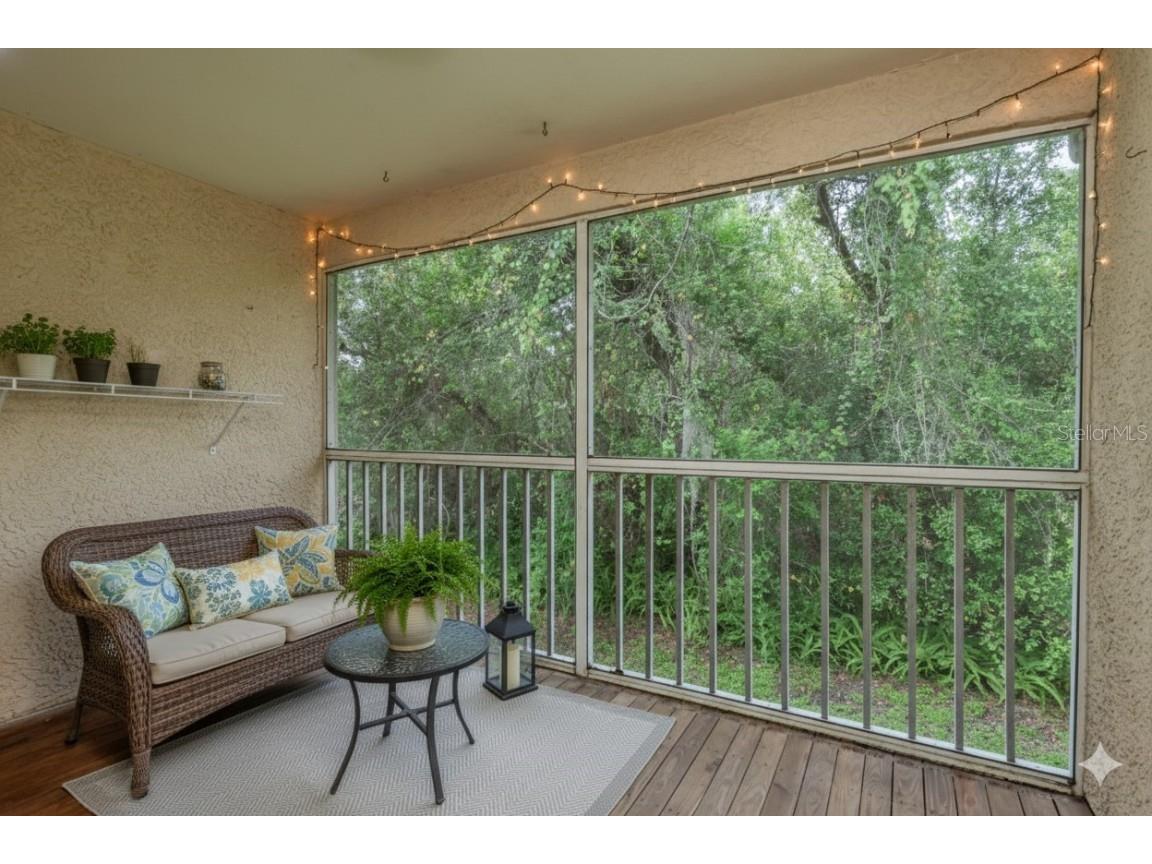 4675 Tudor Lane Palm Harbor FL 34683 TB8432247 image25