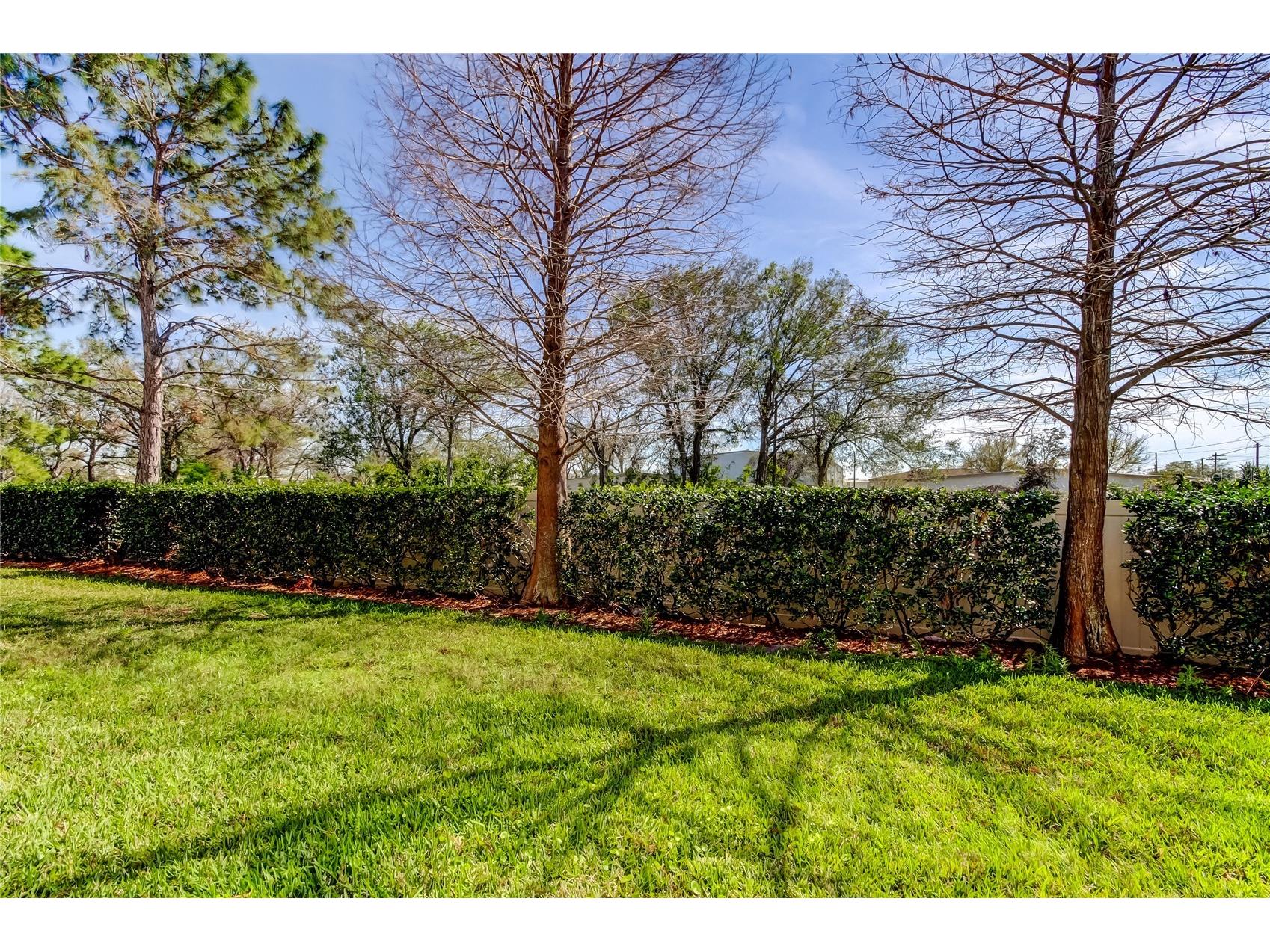 4676 66th Place N Pinellas Park FL 33781 TB8427633 image7