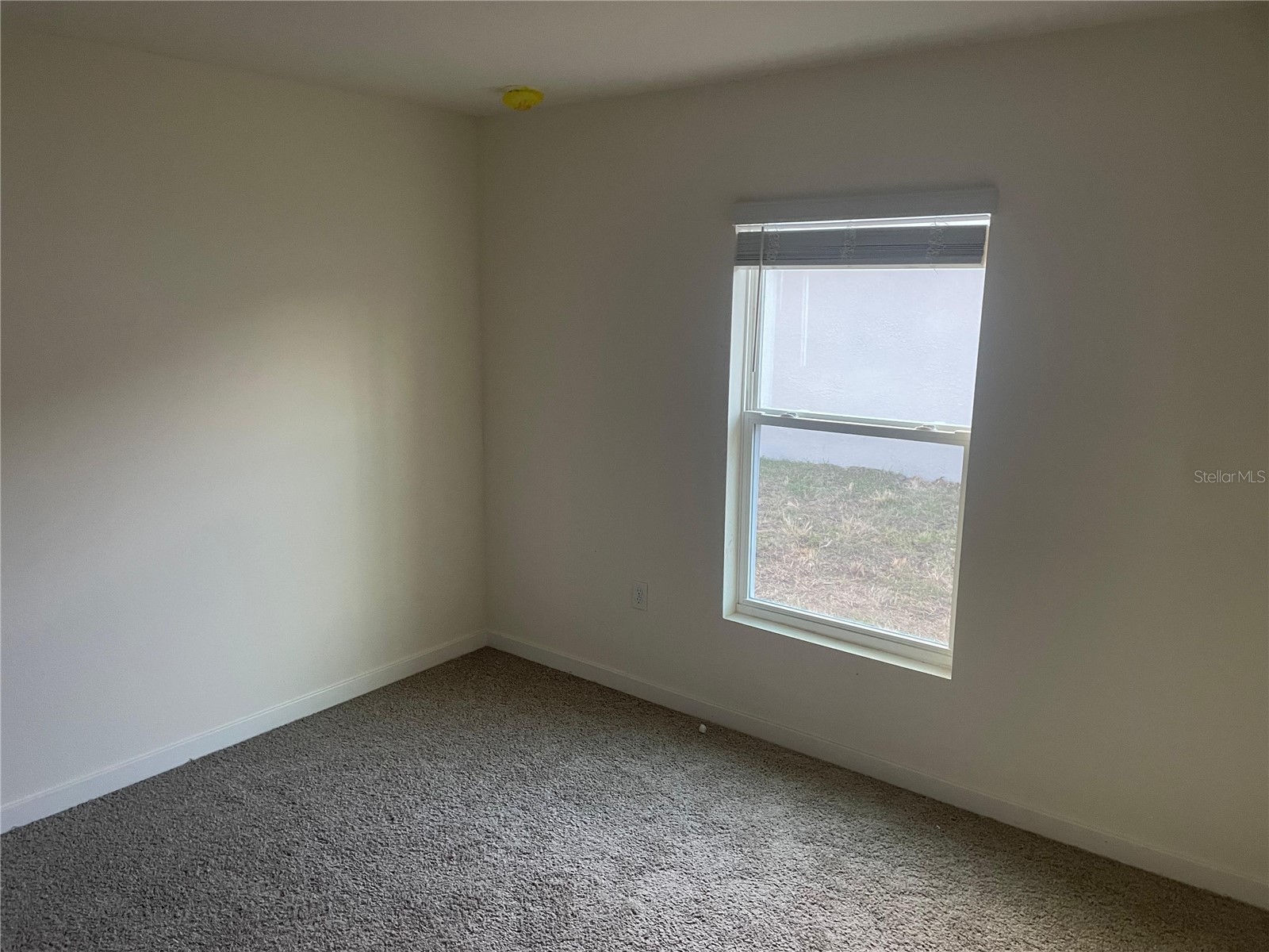 4676 Sigcom Place Wildwood FL 34785 GC539305 image11