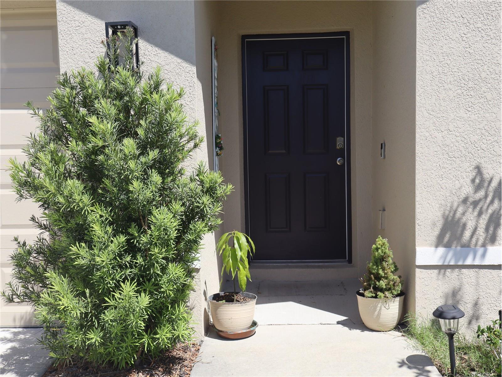 4676 Sigcom Place Wildwood FL 34785 GC539305 image4