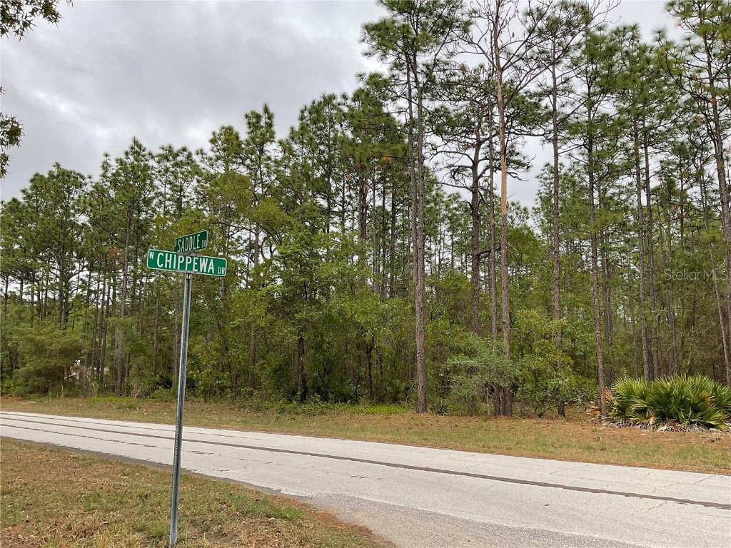 4677 N Saddle Drive Beverly Hills FL 34465 OM656343 image1