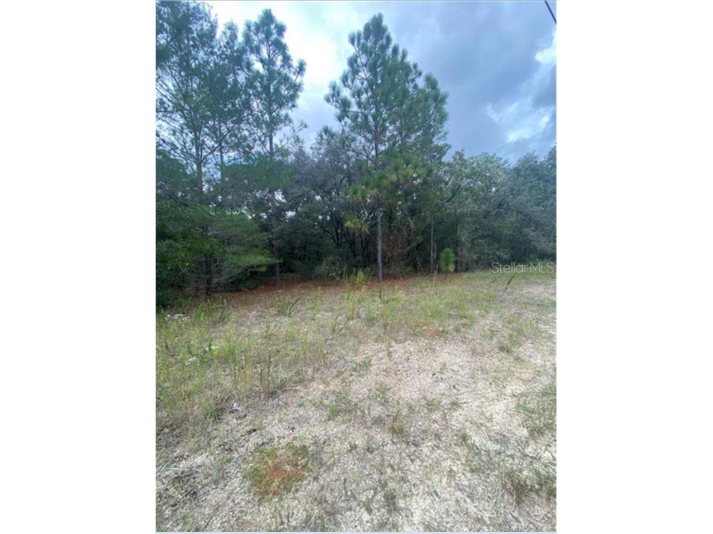 4677 W Citrus Springs Boulevard Citrus Springs FL 34433 G5060812 image1