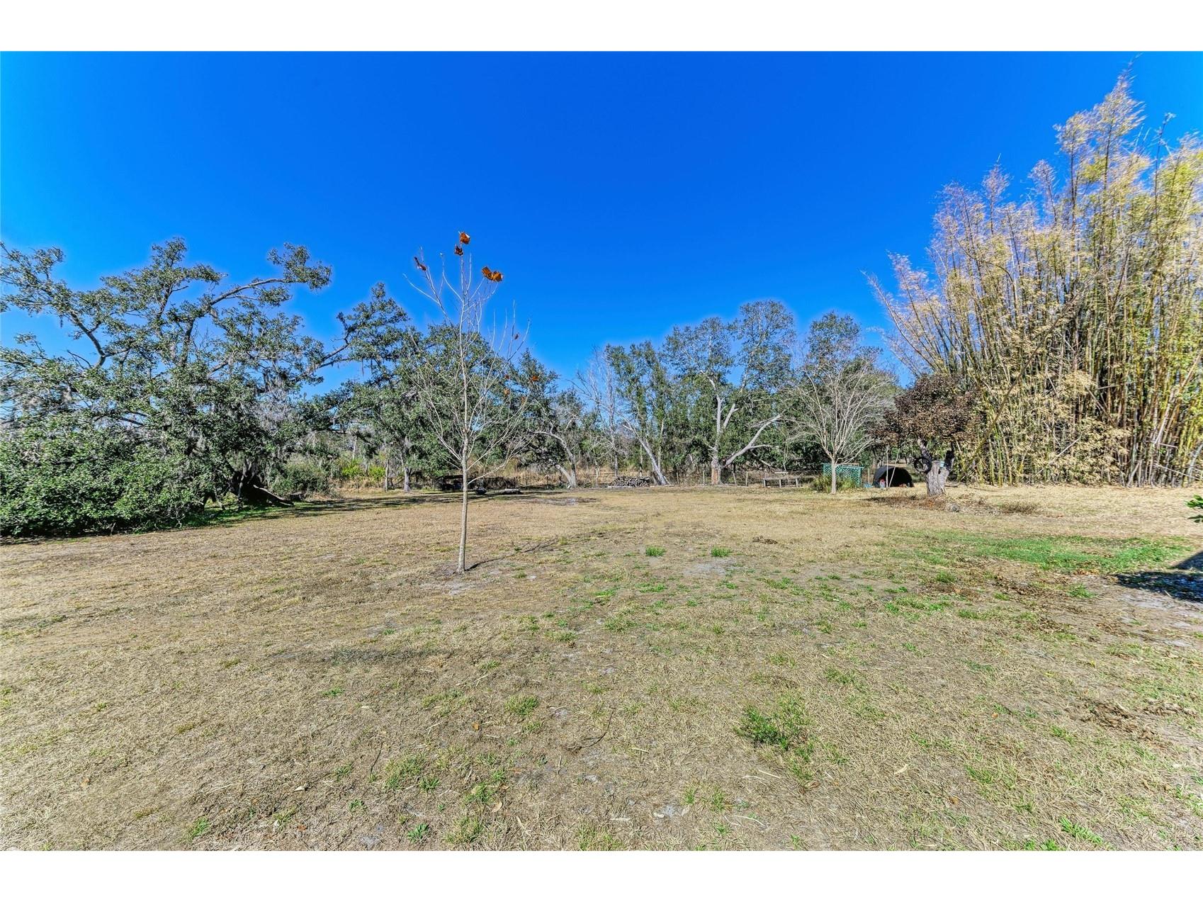 4678 253rd Street E Myakka City FL 34251 A4681741 image38