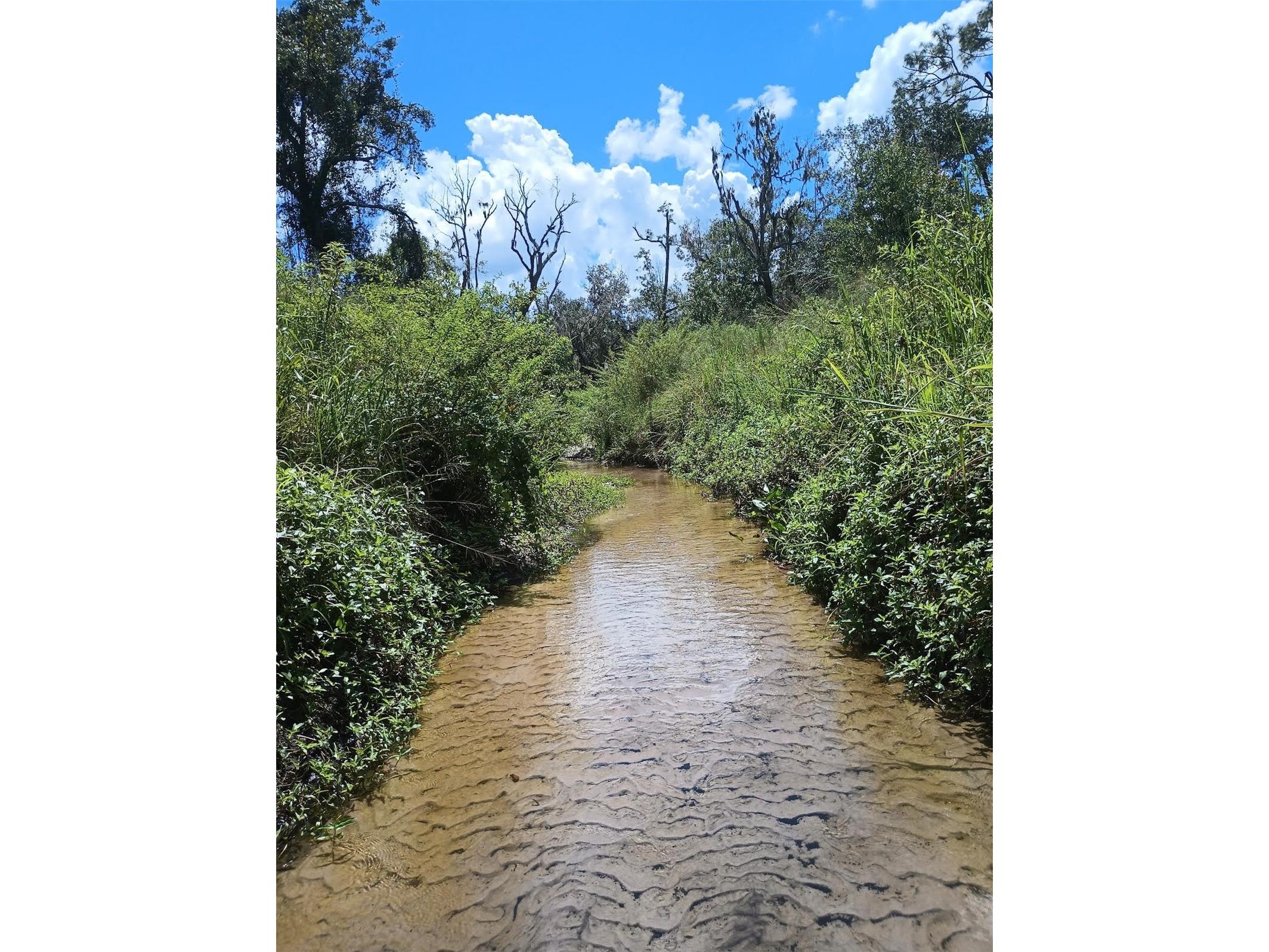 4678 253rd Street E Myakka City FL 34251 A4681741 image61