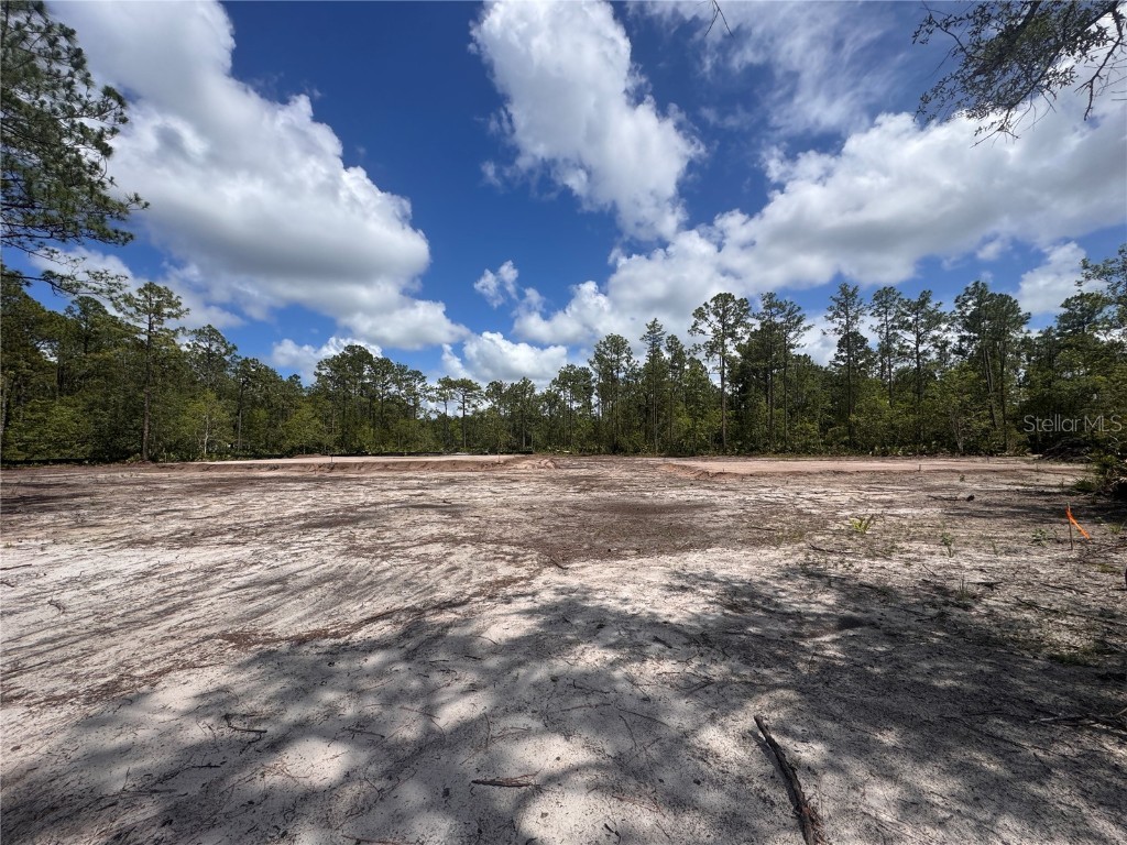 4678 Gum Road New Smyrna Beach FL 32168 G5098879 image13