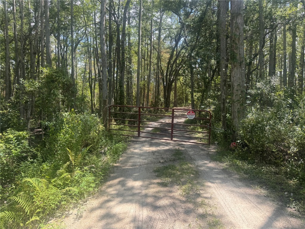 4678 Gum Road New Smyrna Beach FL 32168 G5098879 image14