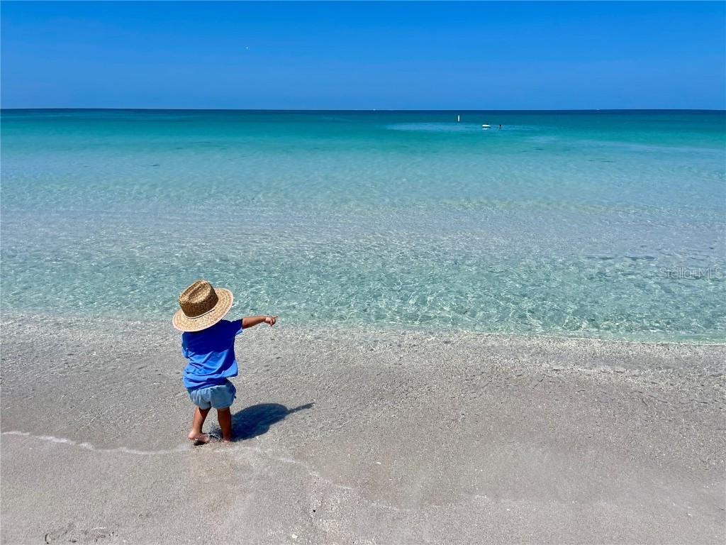 468 Ceil Drive Nokomis FL 34275 - LAKE CHARLOTTE DONNA BAY SHORES R4908905 image40