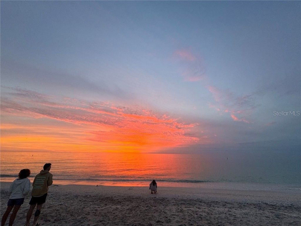 468 Ceil Drive Nokomis FL 34275 - LAKE CHARLOTTE DONNA BAY SHORES R4908905 image41