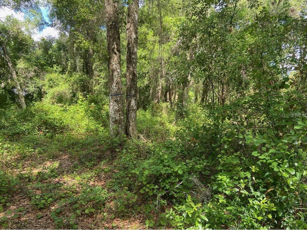 468 N High Street Lake Helen FL 32744 V4930627 image1