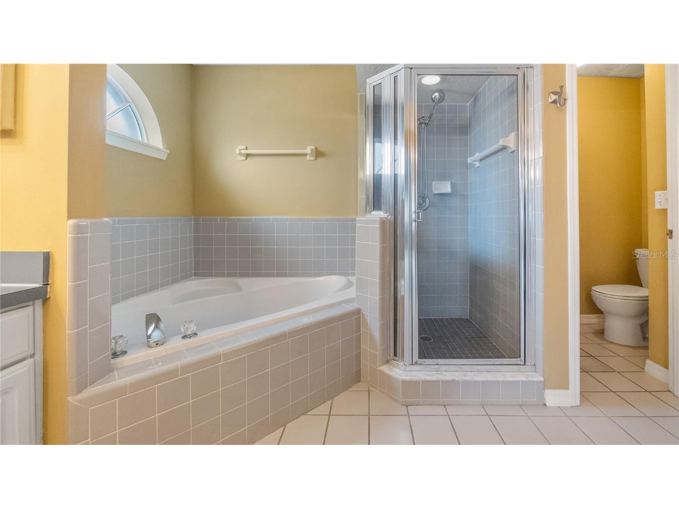 468 Queensbridge Drive Lake Mary FL 32746 O6364697 image17