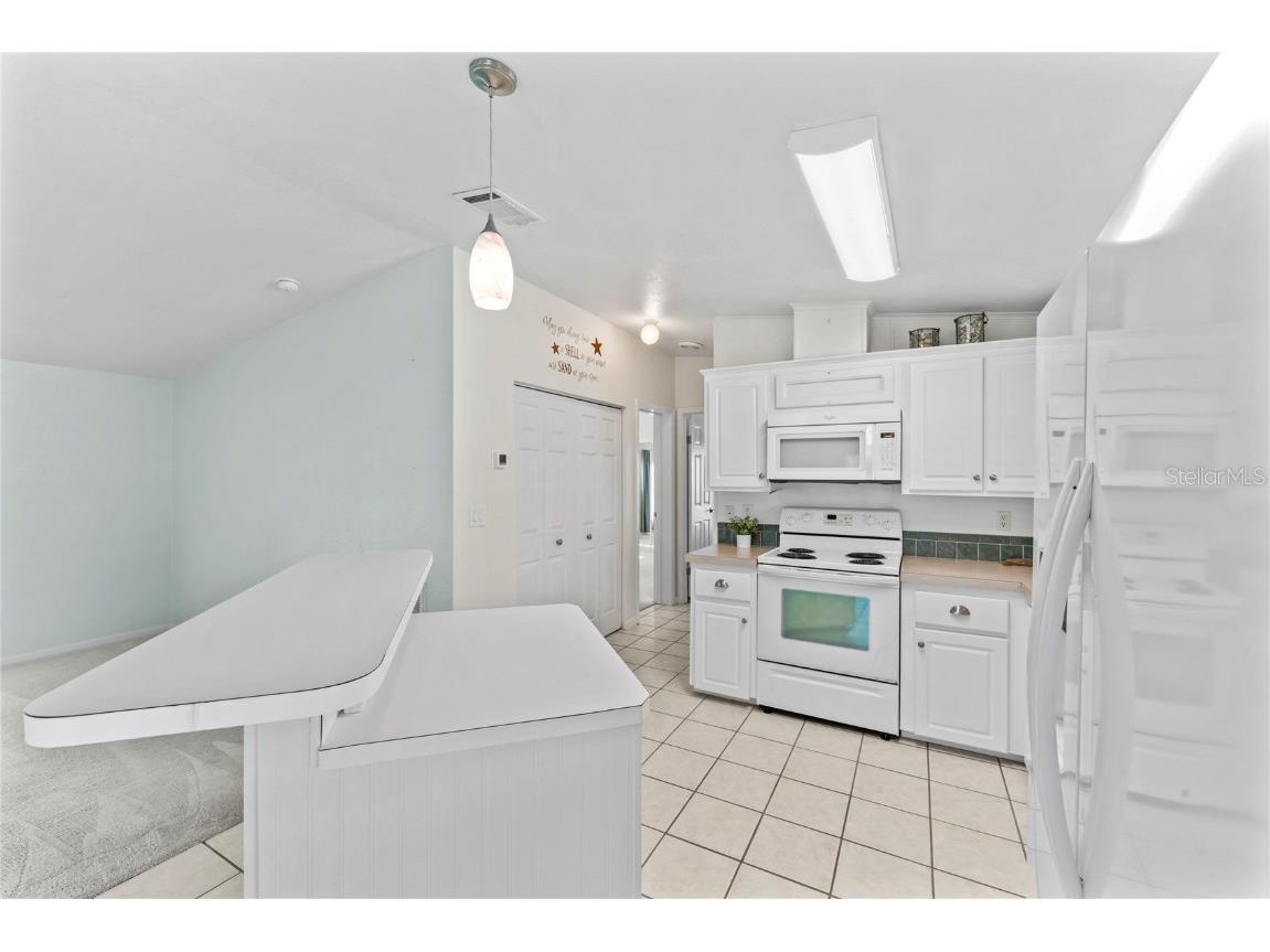 468 Trout Lane Oldsmar FL 34677 TB8439659 image7