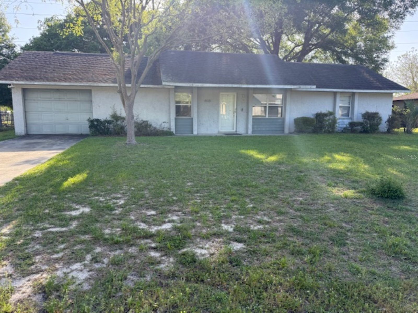 4681 NE 28th Terrace Ocala FL 34479 OM720359 image1