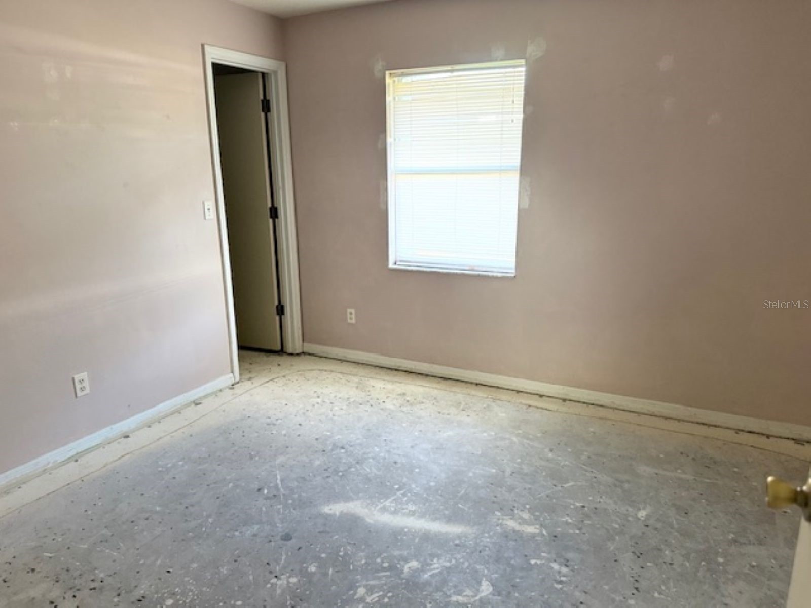 4681 NE 28th Terrace Ocala FL 34479 OM720359 image7