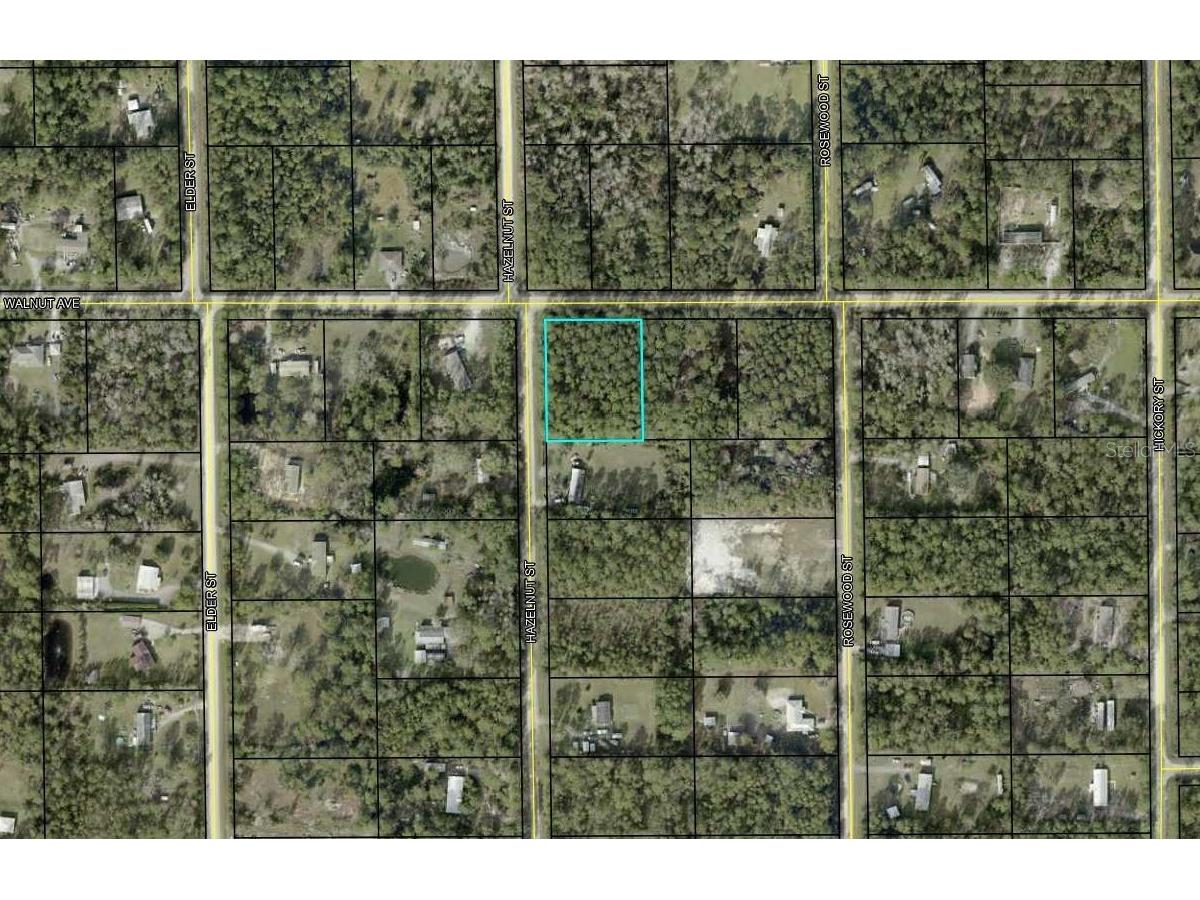 4681 Walnut Avenue Bunnell FL 32110 FC315947 image1