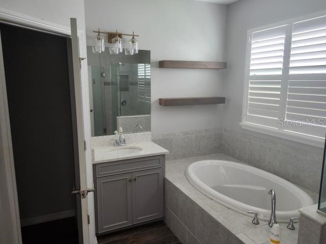 4681 Wandering Way Wesley Chapel FL 33544 TB8406857 image26