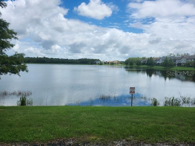 4681 Wandering Way Wesley Chapel FL 33544 TB8406857 image4