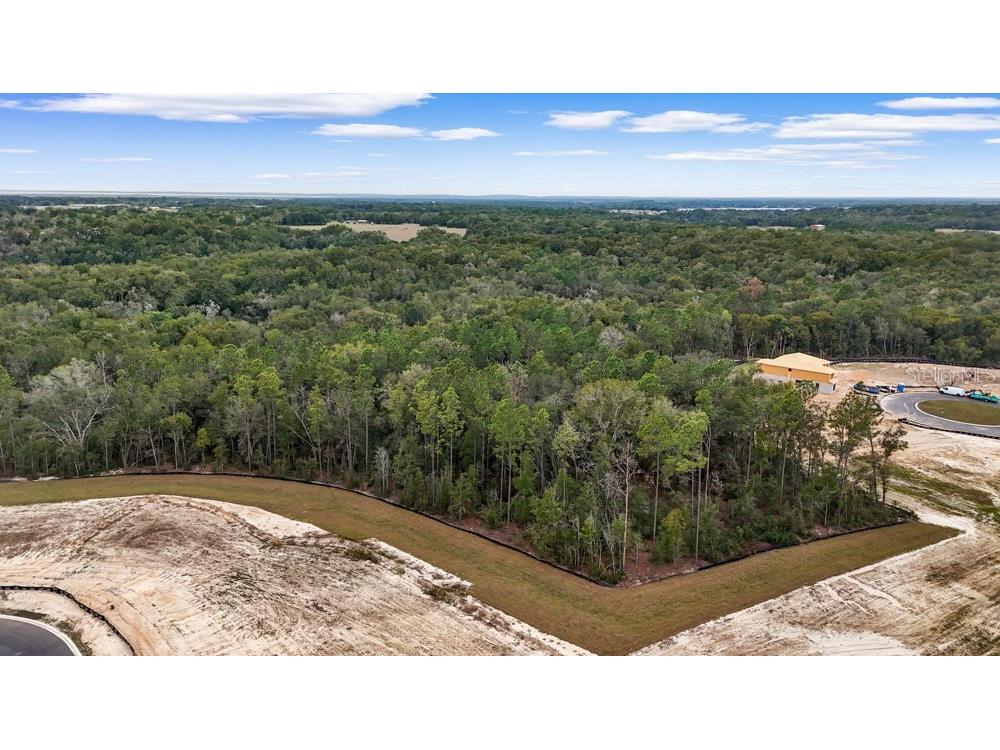 4683 Hilly Heights Drive Mount Dora FL 32757 O6376141 image1