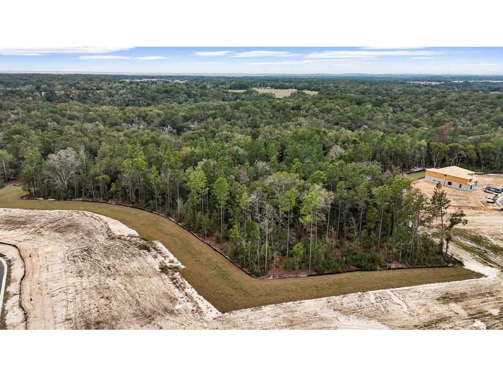 4683 Hilly Heights Drive Mount Dora FL 32757 O6376141 image2