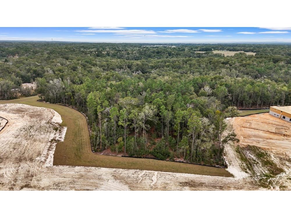 4683 Hilly Heights Drive Mount Dora FL 32757 O6376141 image3