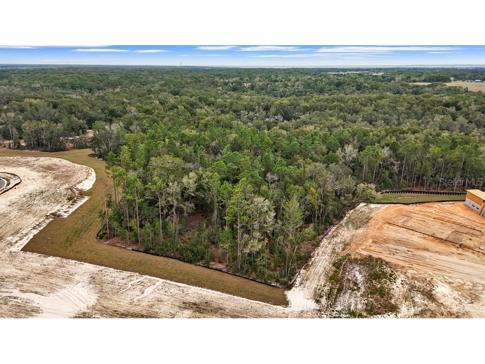 4683 Hilly Heights Drive Mount Dora FL 32757 O6376141 image4