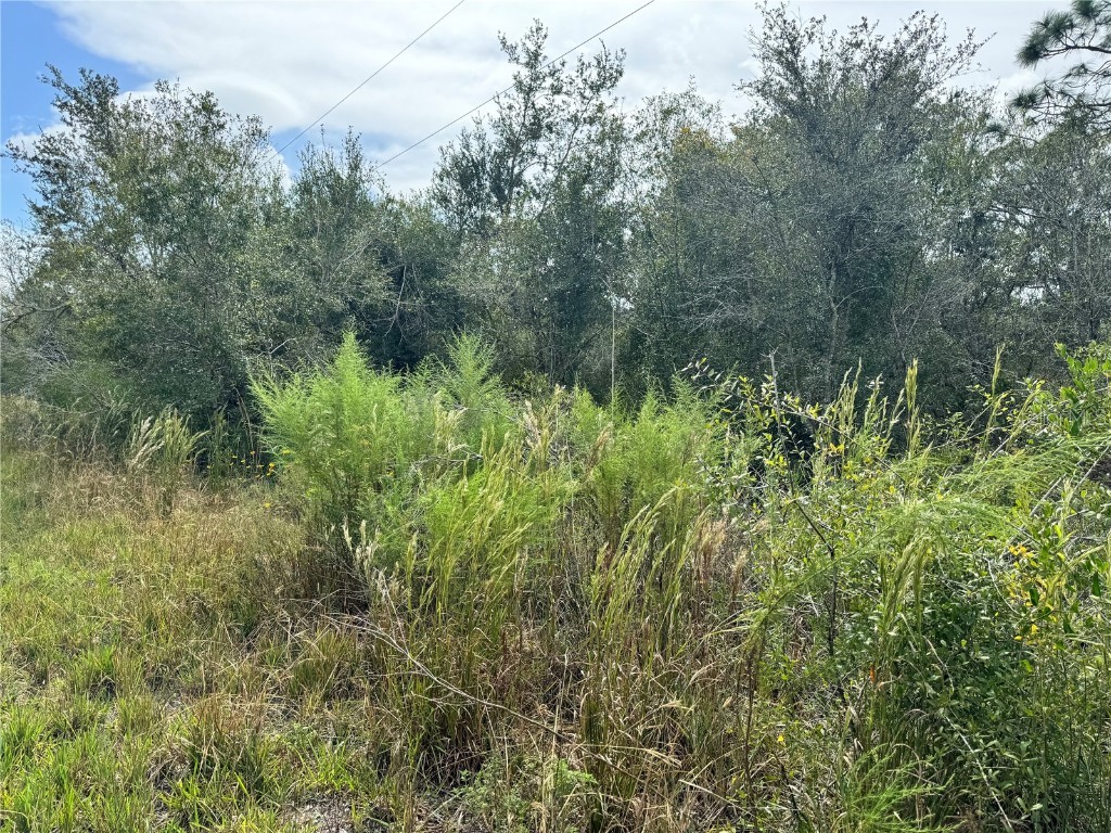 4683 SE Rye Avenue Arcadia FL 34266 C7482011 image1