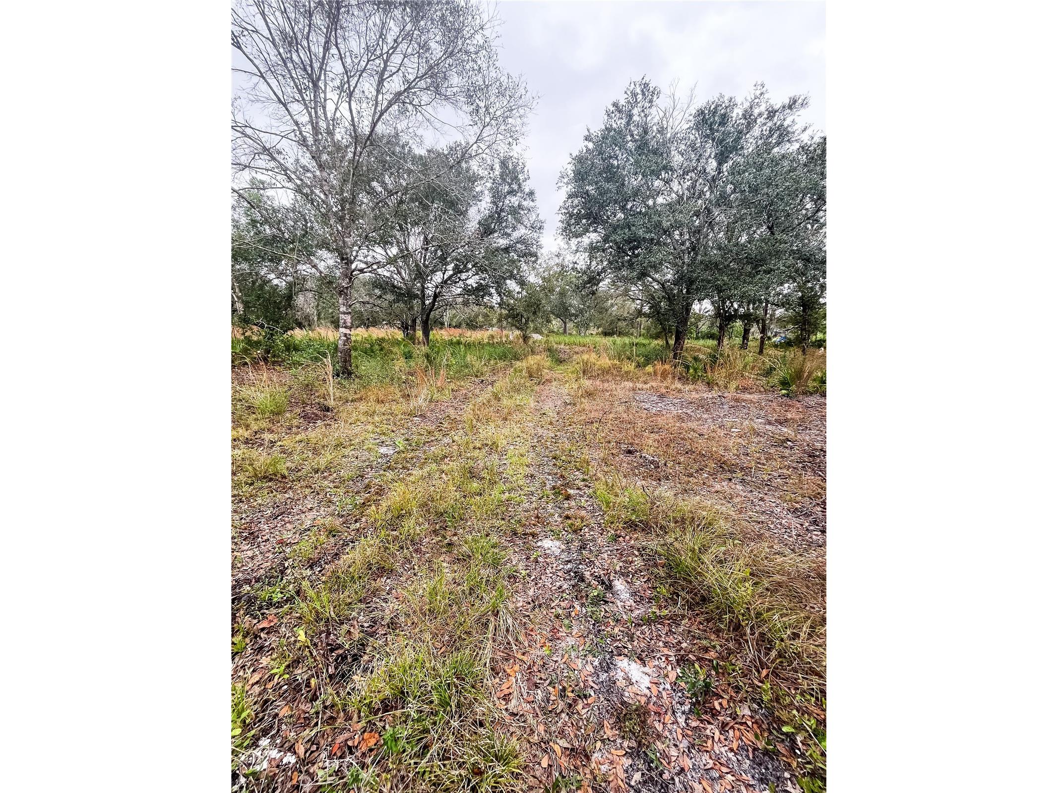 4683 SE Rye Avenue Arcadia FL 34266 C7520295 image1