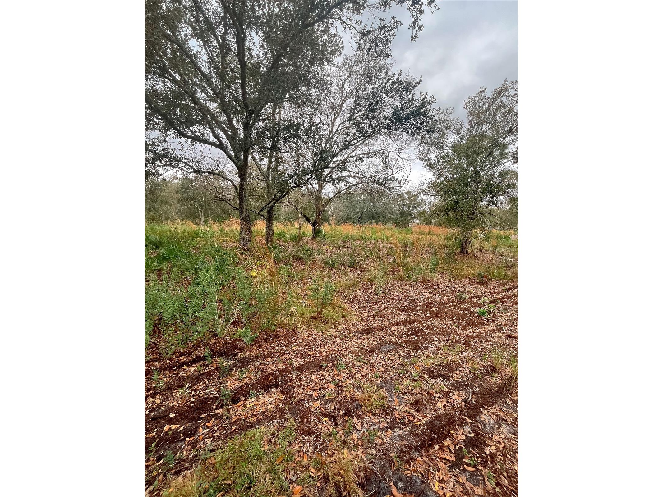 4683 SE Rye Avenue Arcadia FL 34266 C7520295 image2