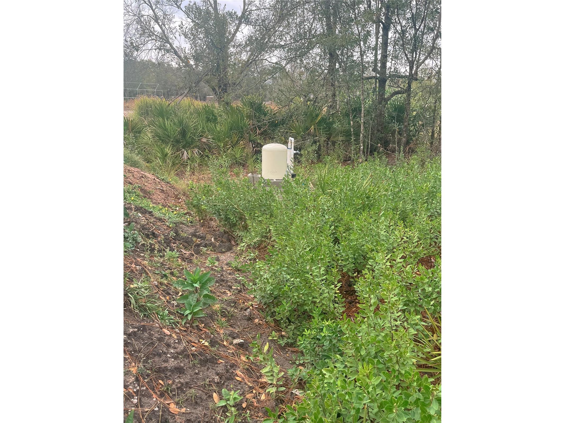 4683 SE Rye Avenue Arcadia FL 34266 C7520295 image5