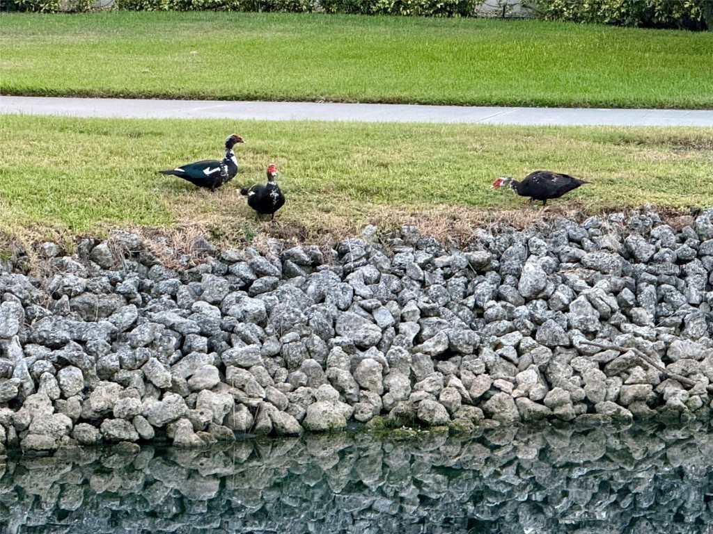 4683 Winston Lane N #30 Sarasota FL 34235 A4670091 image58