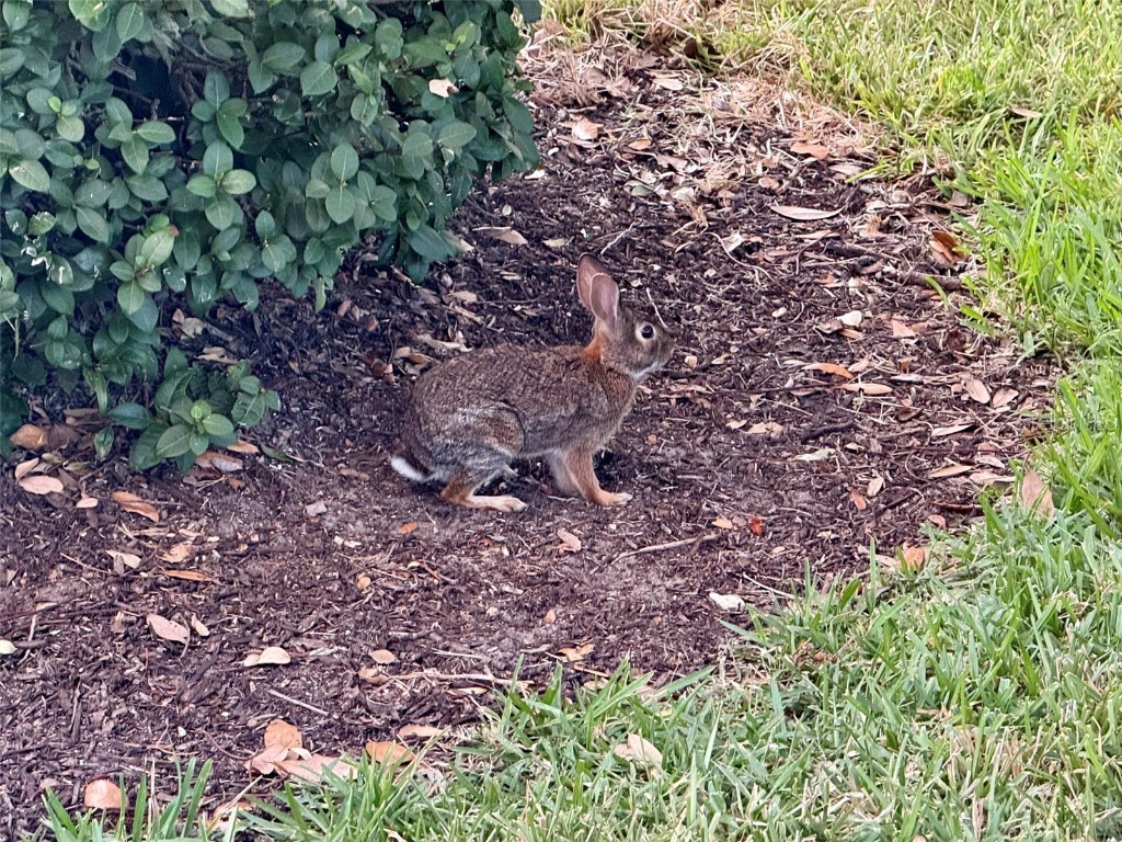 4683 Winston Lane N #30 Sarasota FL 34235 A4670091 image59