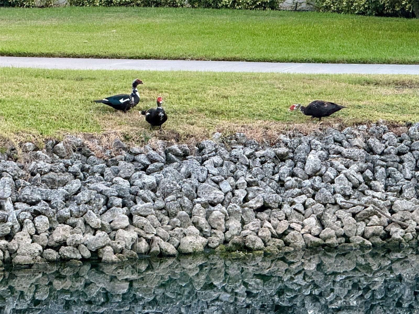 4683 Winston Lane N #30 Sarasota FL 34235 A4696832 image34
