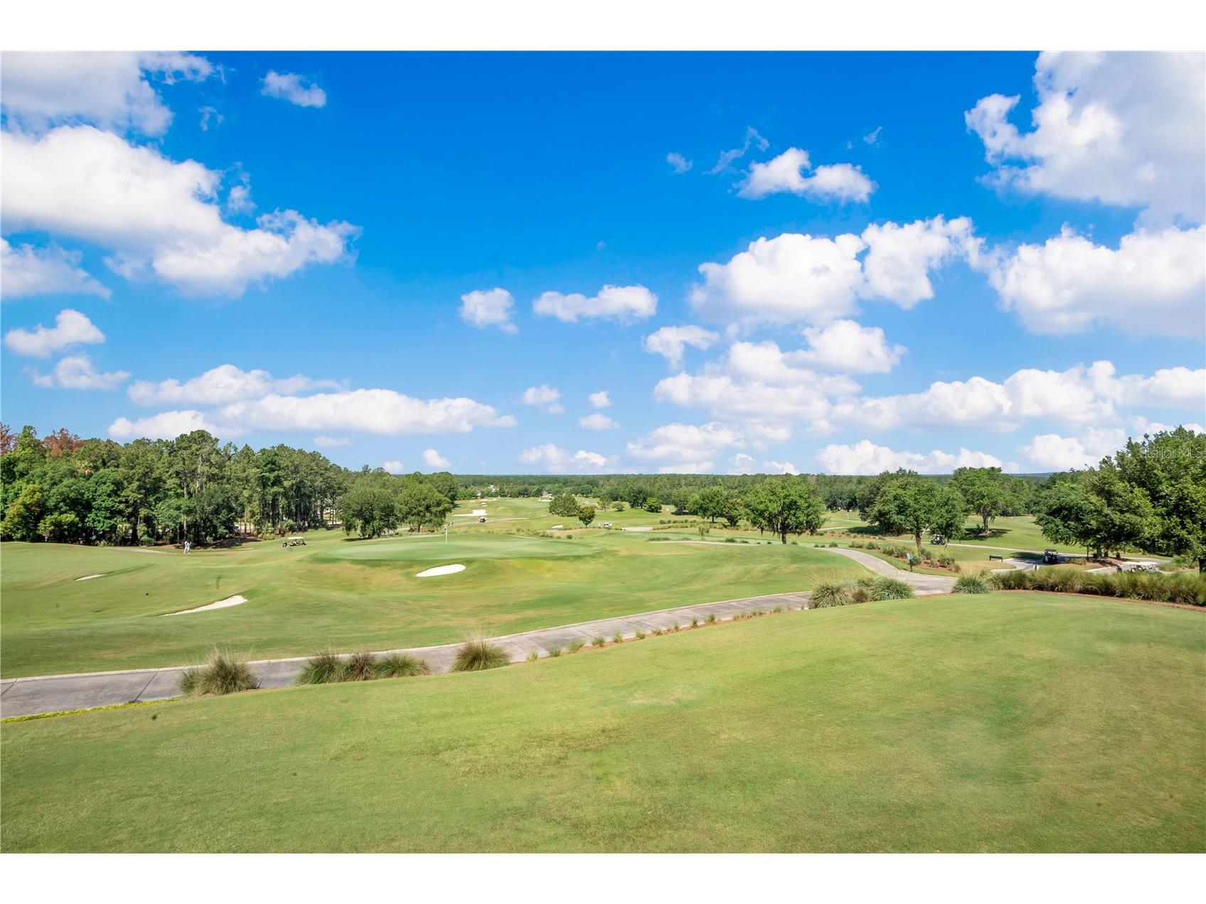 4684 Southern Valley Loop Brooksville FL 34601 O6409741 image69