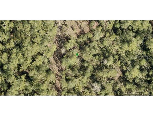 4685 Magnolia Road New Smyrna Beach FL 32168 NS1080941 image3