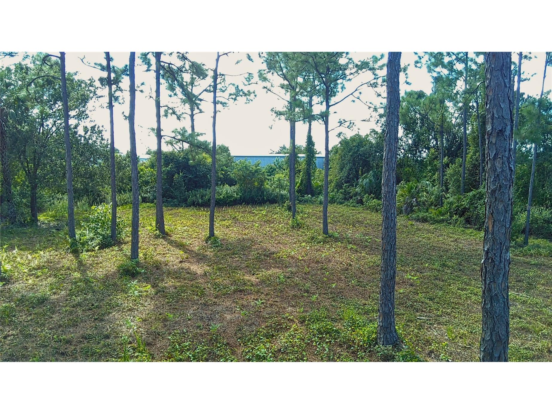 4685 Riverside Drive Punta Gorda FL 33982 C7509685 image3