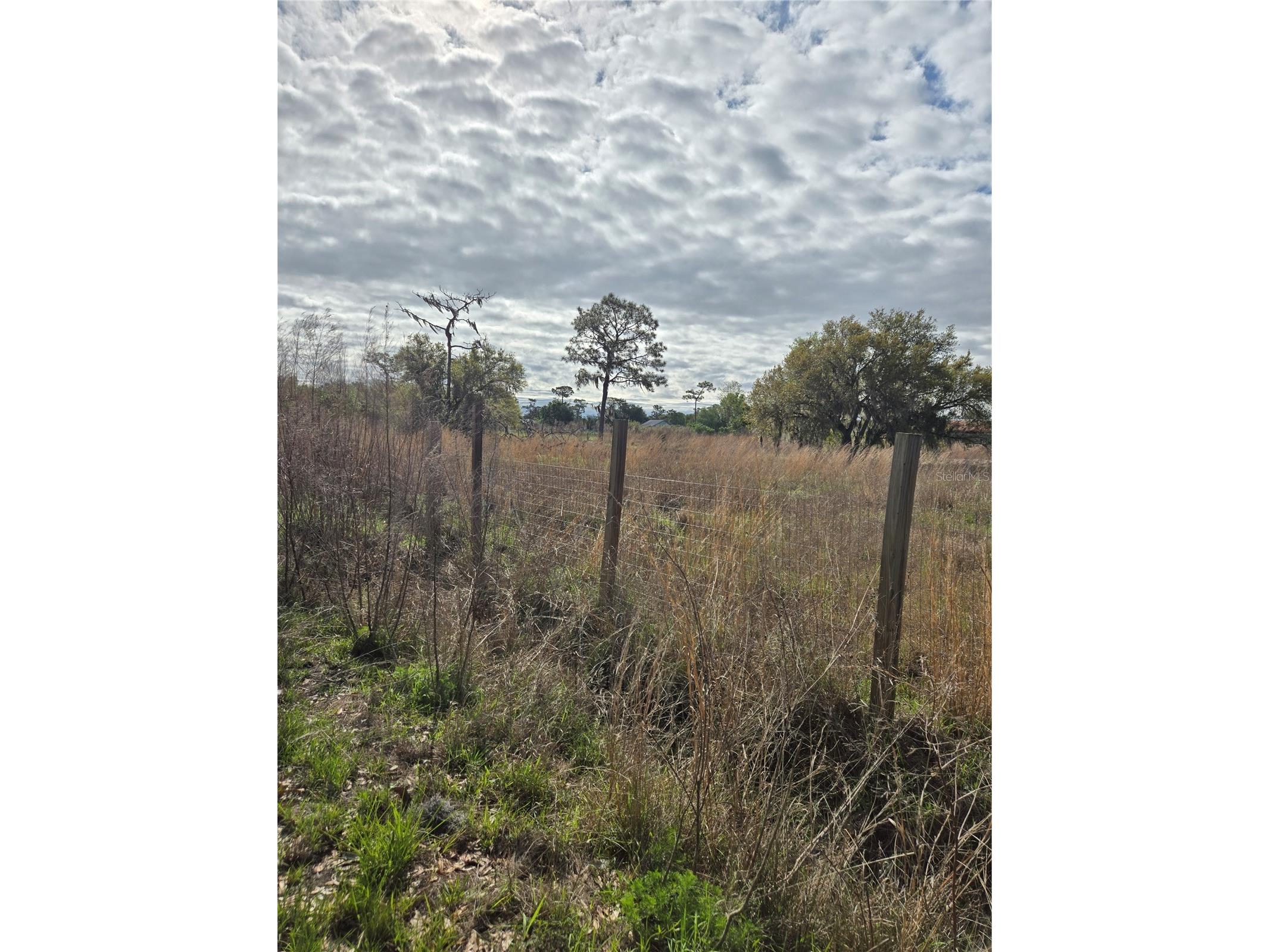 4685 Waterbury Road Myakka City FL 34251 A4686849 image5
