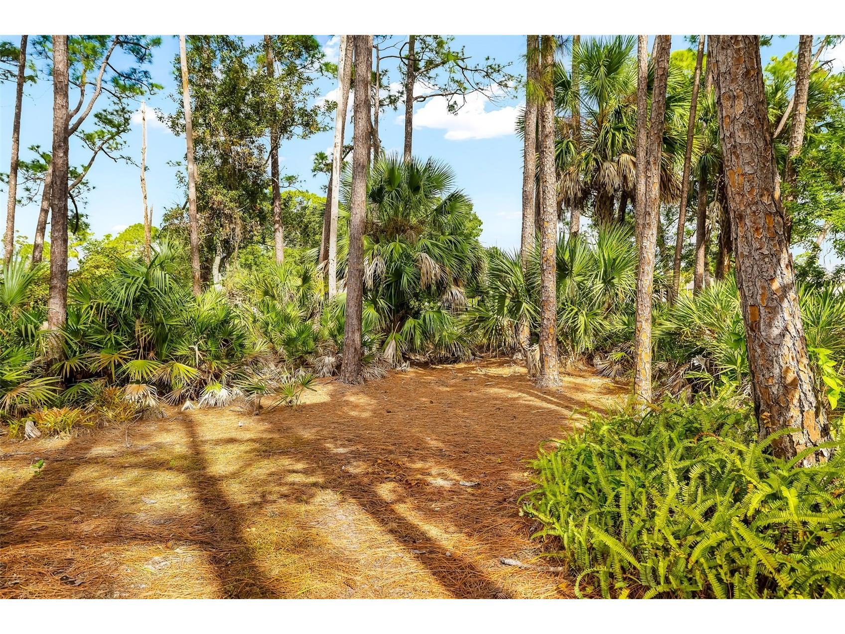 4687 Chandlers Forde #25 Sarasota FL 34235 A4672530 image42