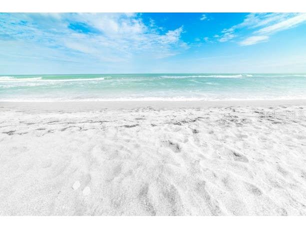 4689 Oak Forest Drive E #1 Sarasota FL 34231 A4656654 image26