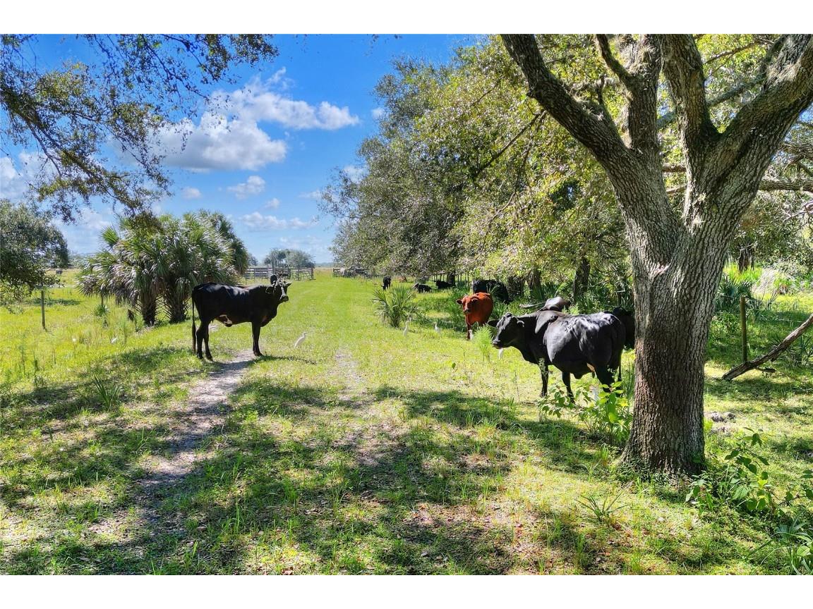 46891 Farabee Road Punta Gorda FL 33982 TB8447031 image1