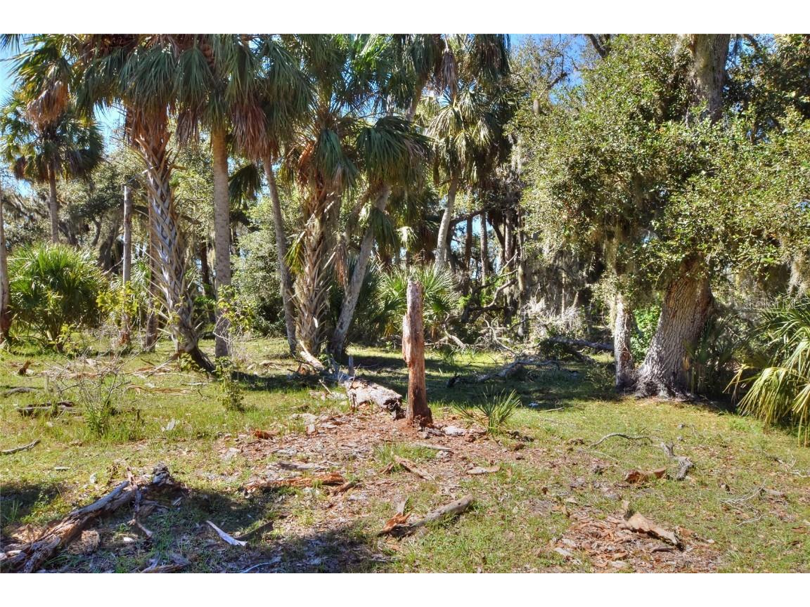 46891 Farabee Road Punta Gorda FL 33982 TB8447031 image10