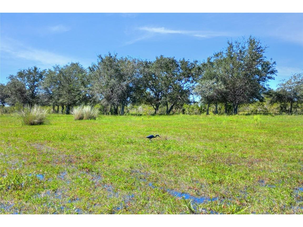 46891 Farabee Road Punta Gorda FL 33982 TB8447031 image14