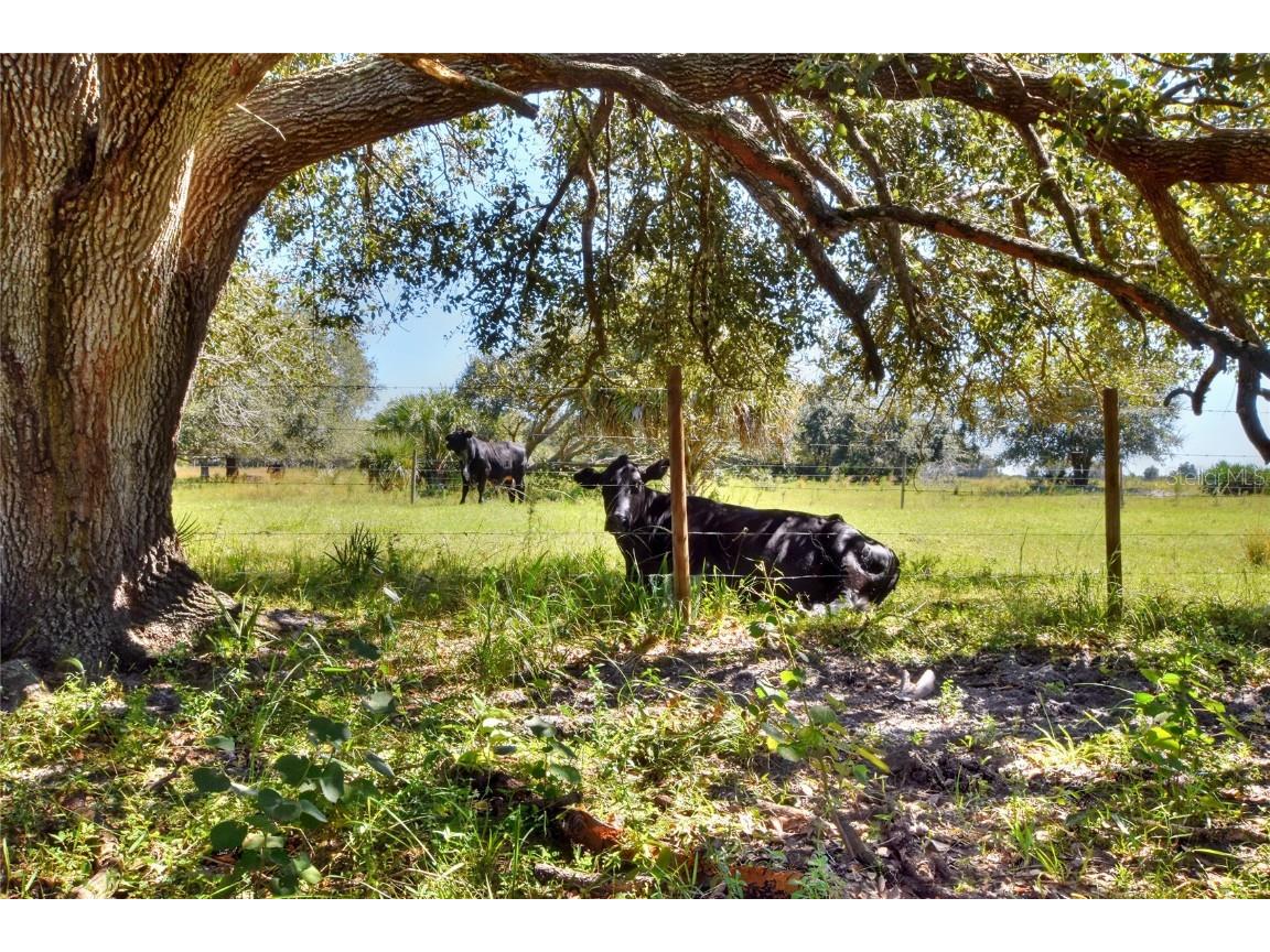 46891 Farabee Road Punta Gorda FL 33982 TB8447031 image15