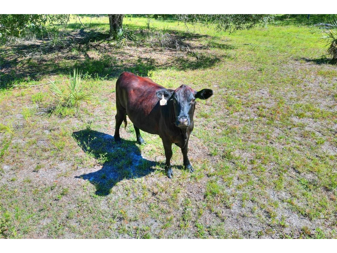 46891 Farabee Road Punta Gorda FL 33982 TB8447031 image18