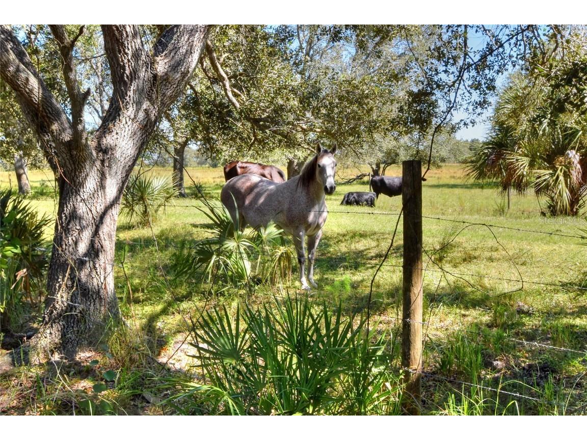 46891 Farabee Road Punta Gorda FL 33982 TB8447031 image21