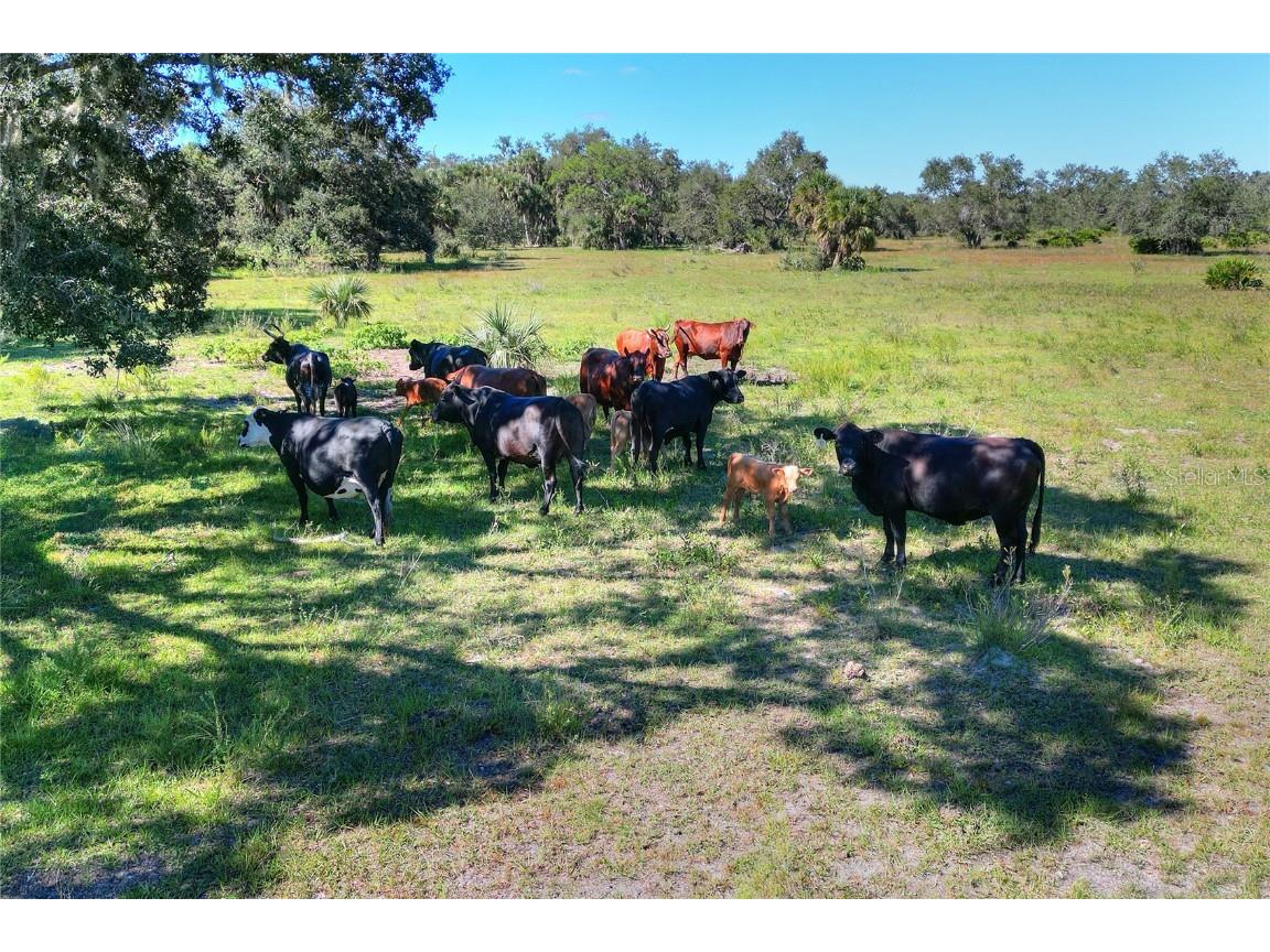 46891 Farabee Road Punta Gorda FL 33982 TB8447031 image22