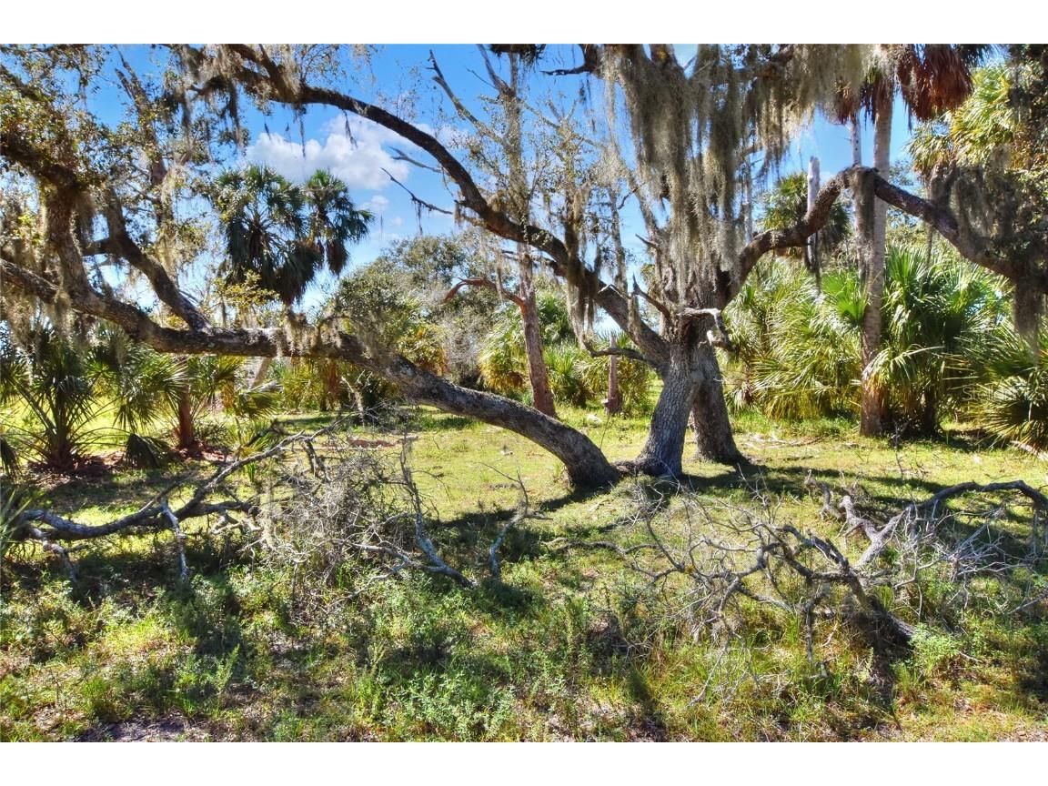 46891 Farabee Road Punta Gorda FL 33982 TB8447031 image9